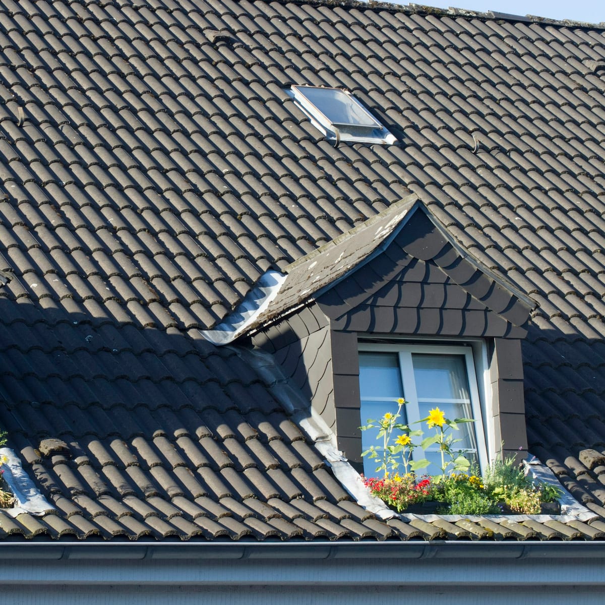Ziegeldach mit Gaube, Dachfenstern und Blumenkasten